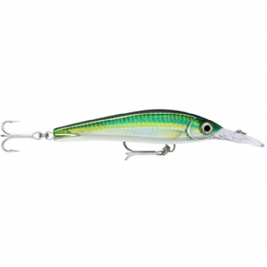 BIGEYE SCAD